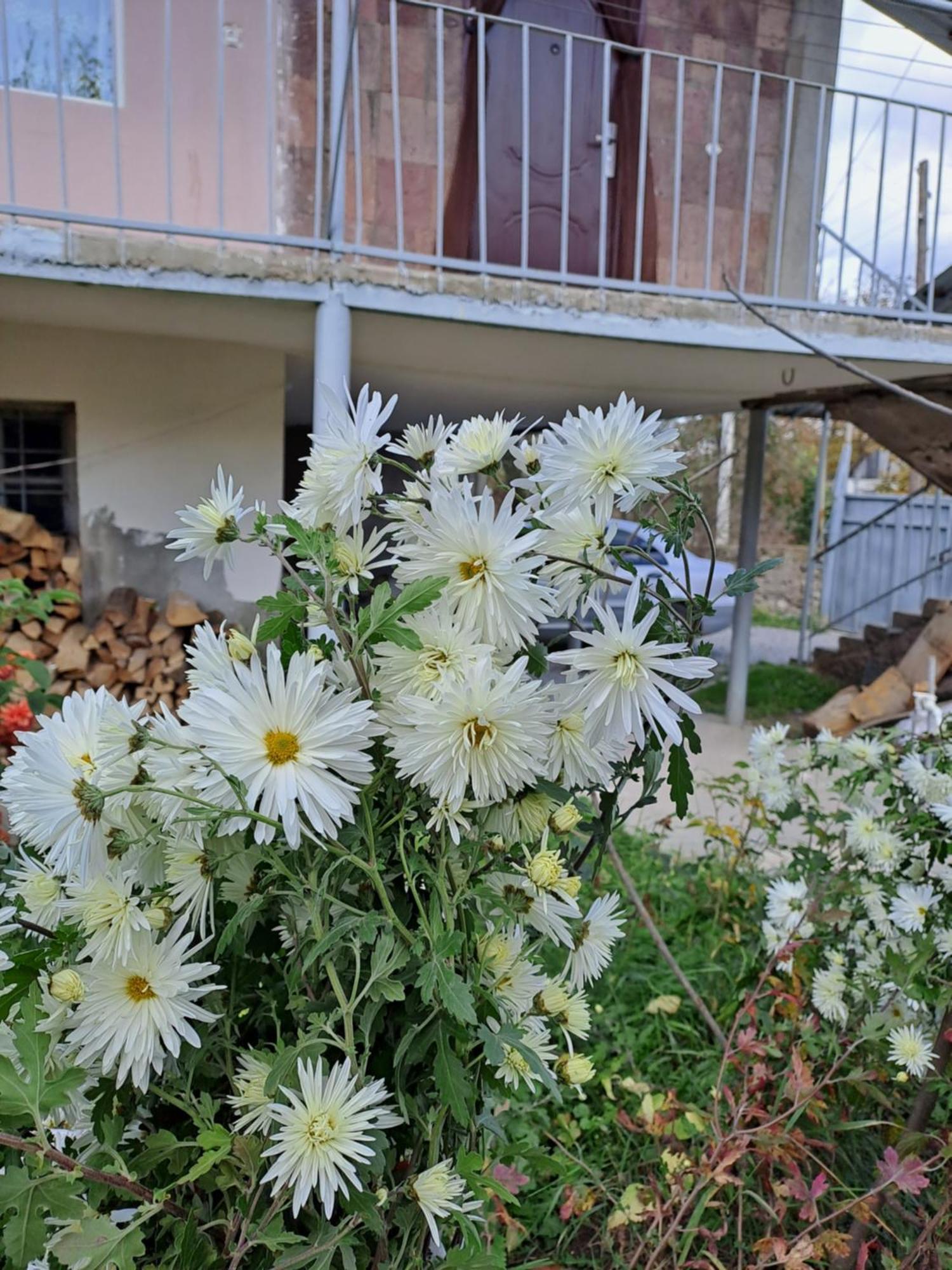 Tamara B&B Dsegh ภายนอก รูปภาพ